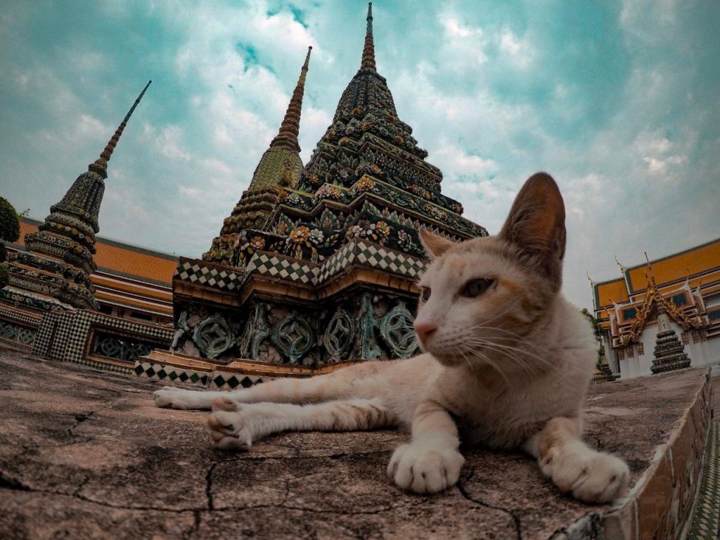 Wat Arum. Que hacer en Bangkok