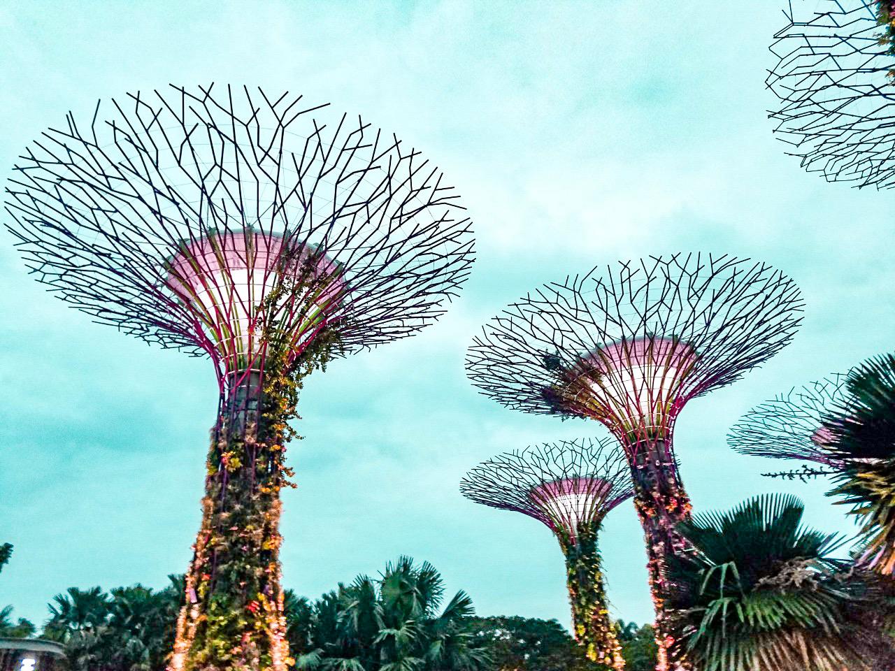 Qué ver y hacer en Singapur: los imperdibles