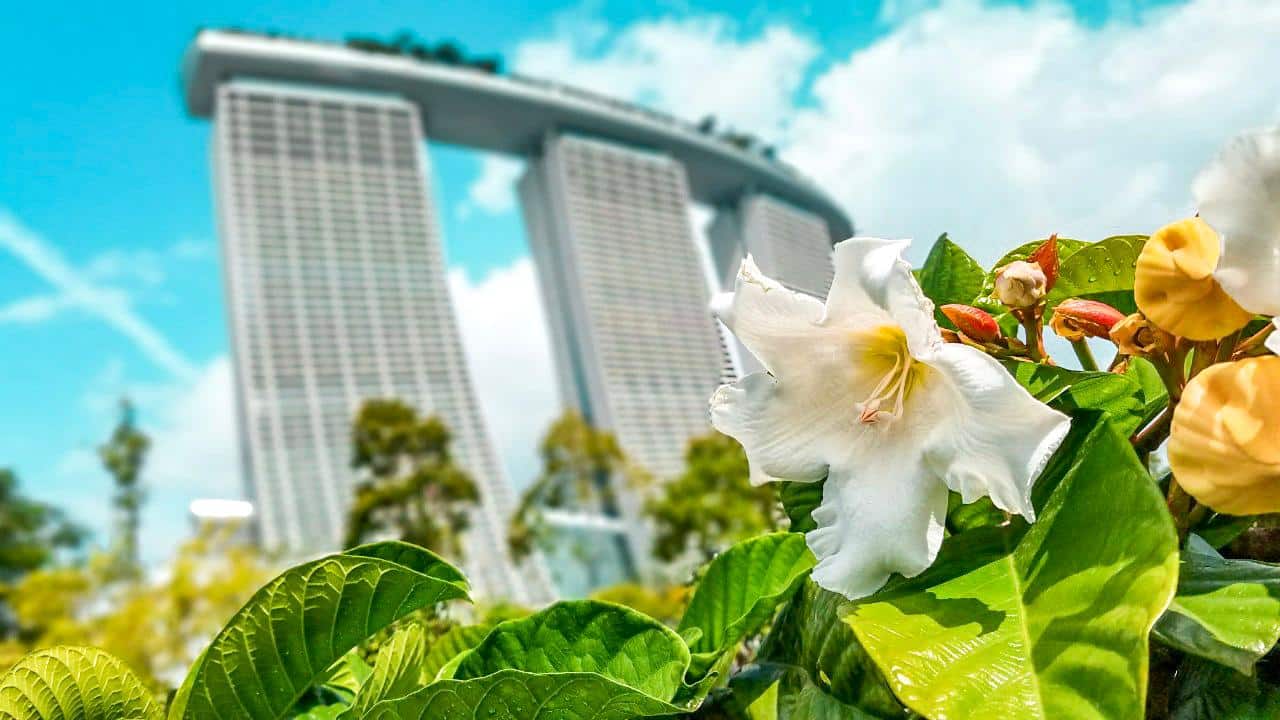 Guía de Singapur: todo lo que necesitas saber para visitar este país