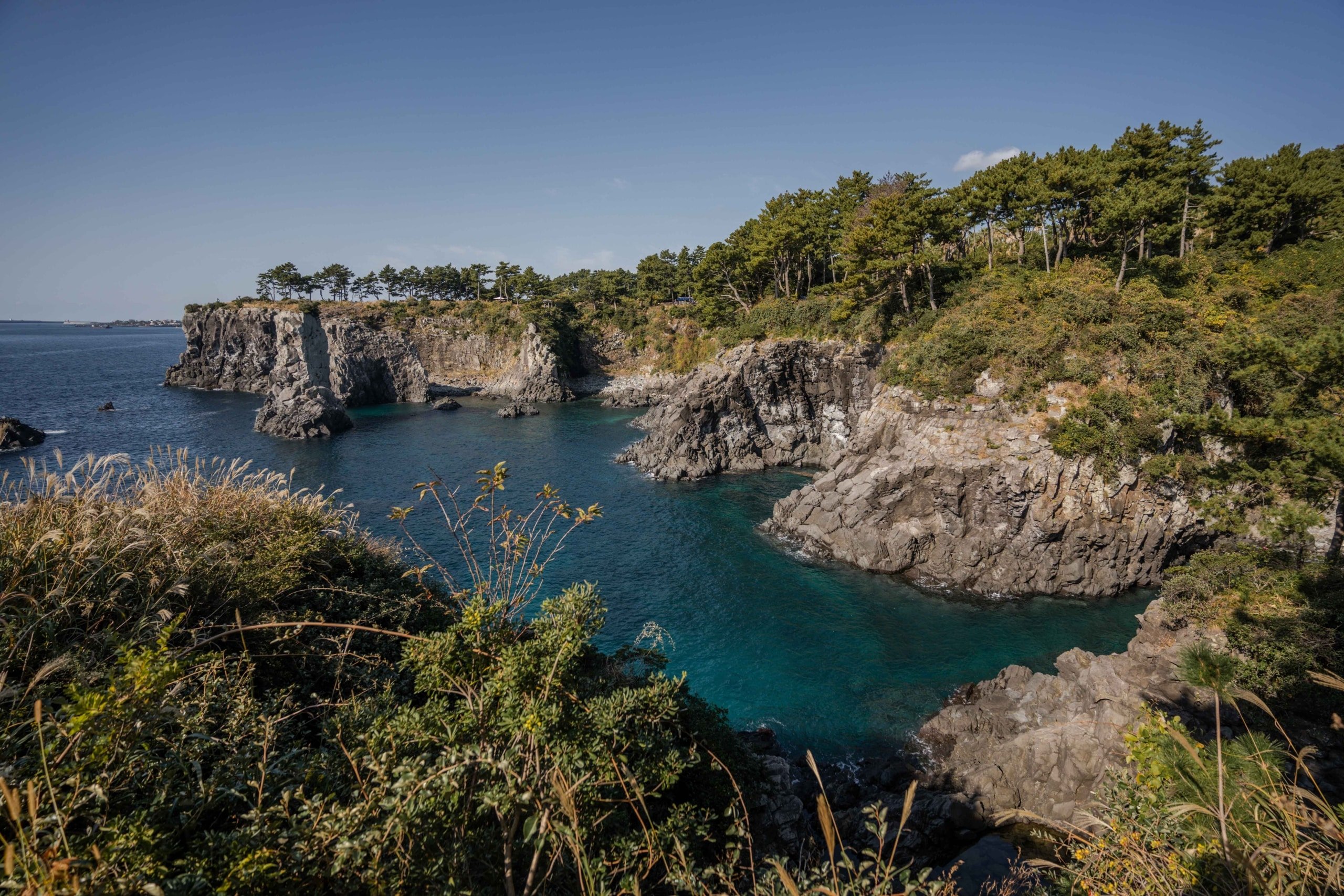 Mejor Seguro de viaje para Corea del Sur  [+ 5% DESCUENTO]