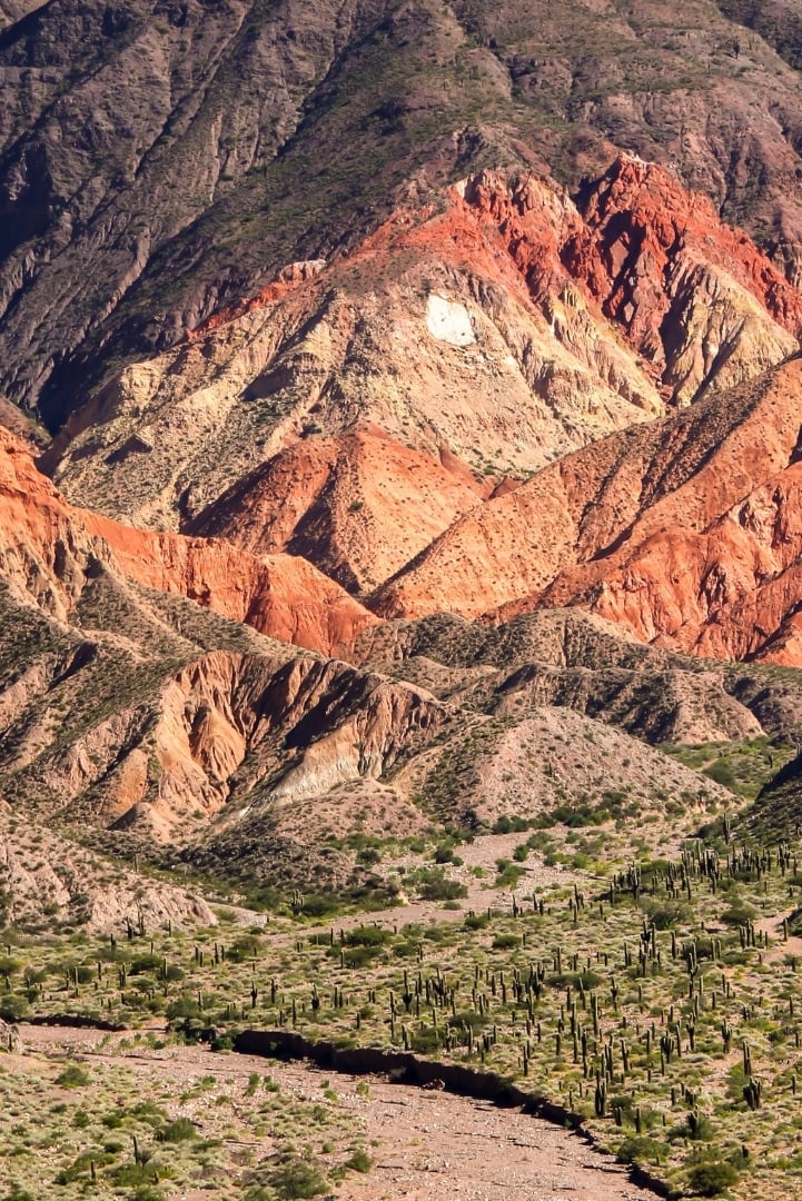 Camino de montañas en el Norte Argentino