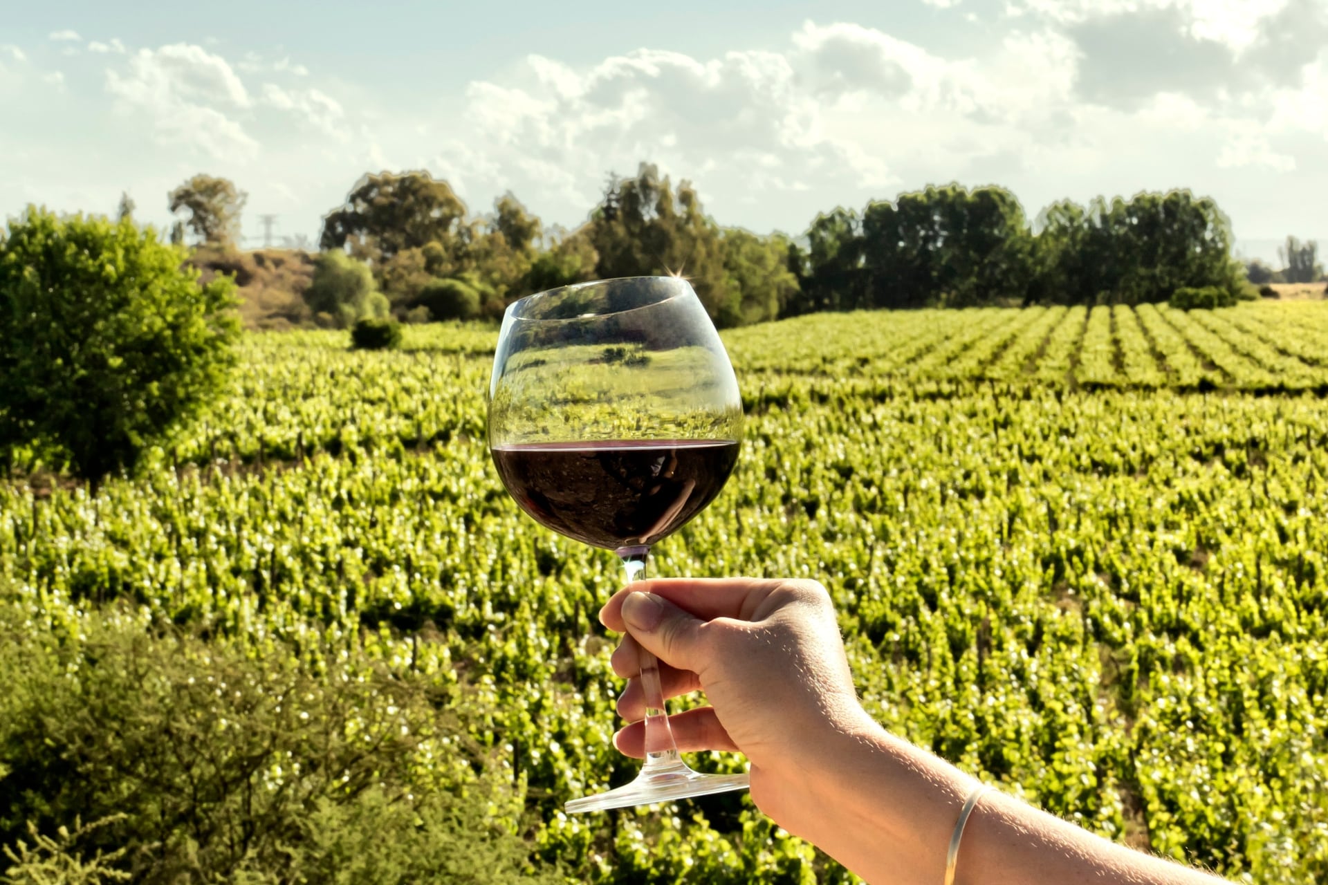 Las mejores bodegas de Mendoza para visitar