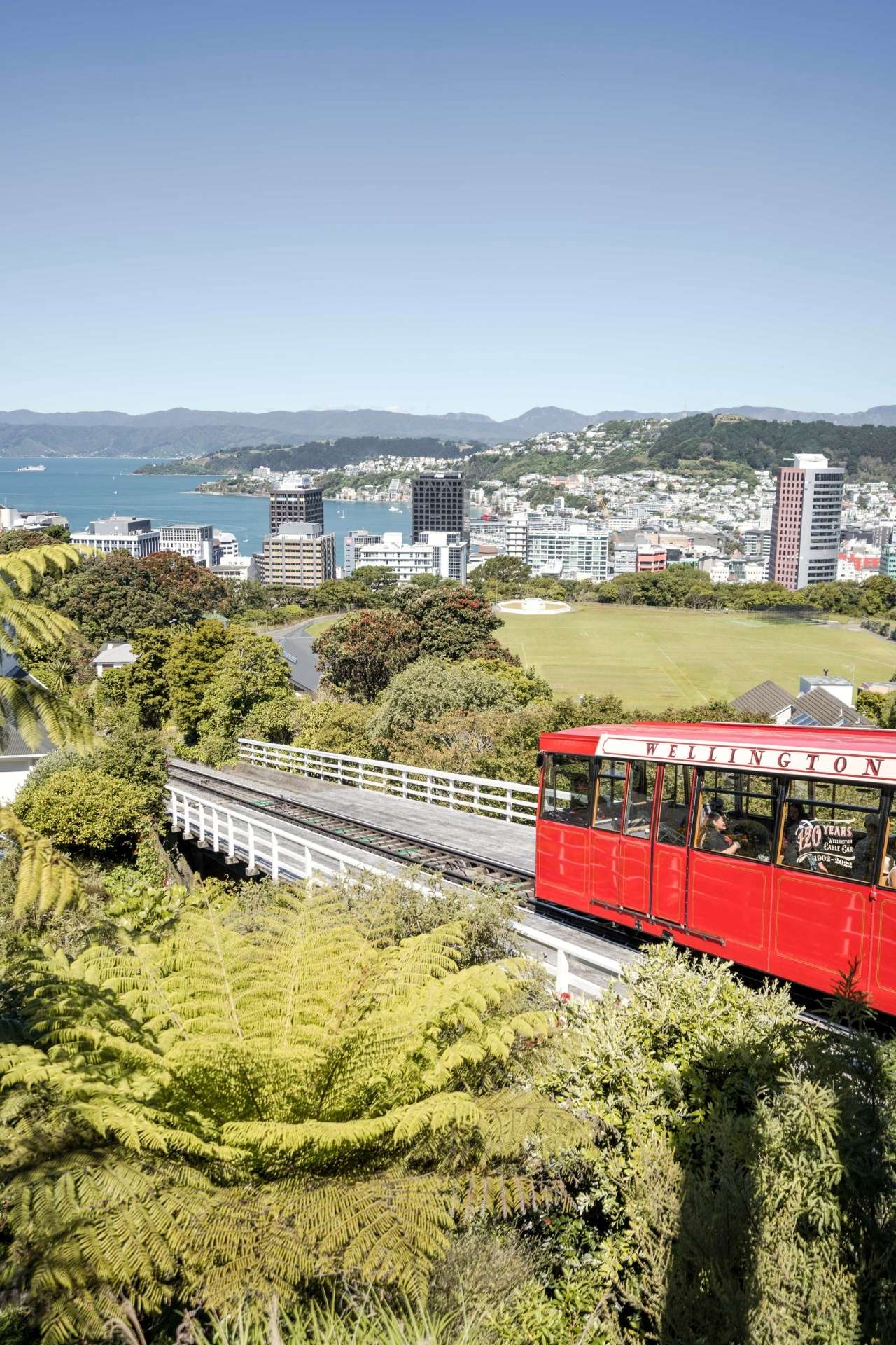 Qué ver en Wellington