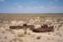 Visitar el Mar de Aral en Uzbekistán (Moynaq, yurtas y más)